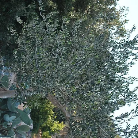 Le Dimore Del Sarto Polignano A Mare