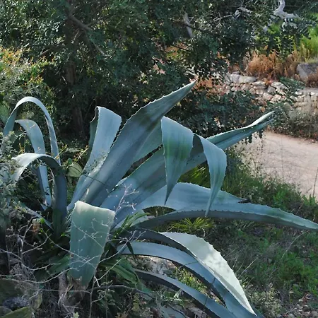 Frühstückspension Le Dimore Del Sarto Polignano A Mare 3*