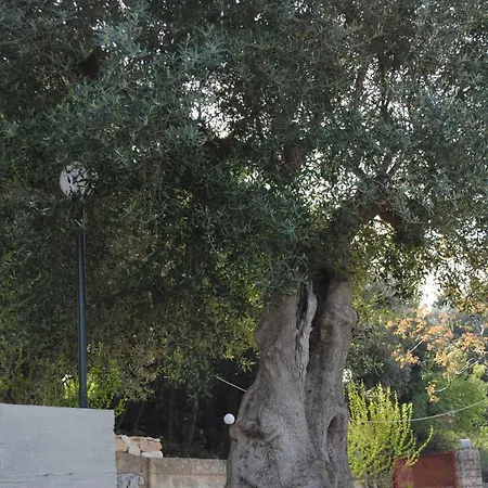 Le Dimore Del Sarto 滨海波利尼亚诺