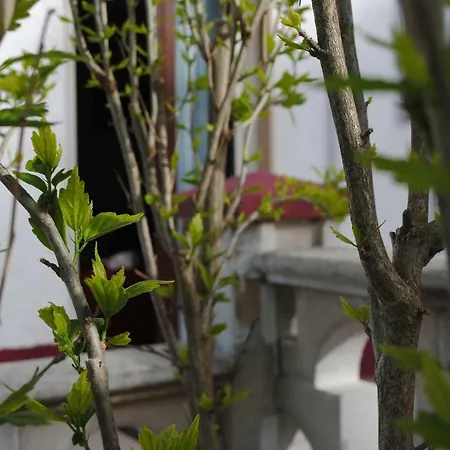 住宿加早餐酒店 Le Dimore Del Sarto