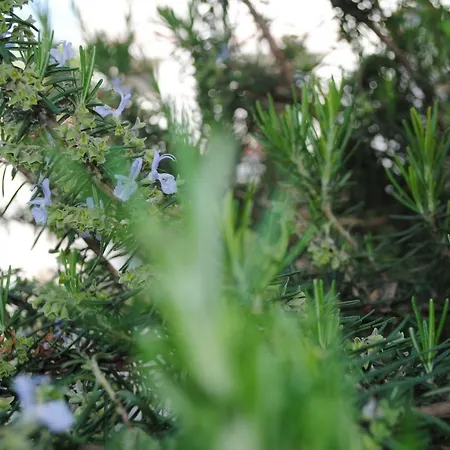 Le Dimore Del Sarto 3*