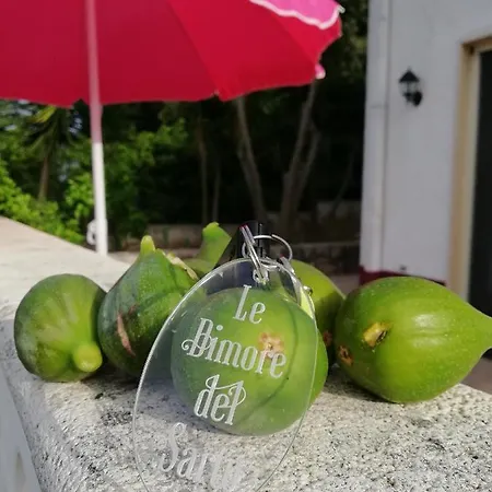 住宿加早餐酒店 Le Dimore Del Sarto