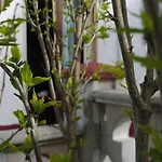 Bed and breakfast Le Dimore Del Sarto