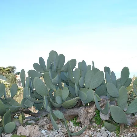 Le Dimore Del Sarto Relax * Polignano a Mare