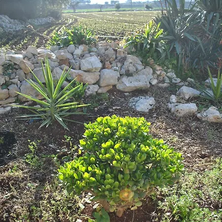 Bed & Breakfast Le Dimore Del Sarto Relax