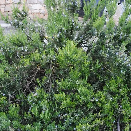 Le Dimore Del Sarto Polignano A Mare Polignano a Mare