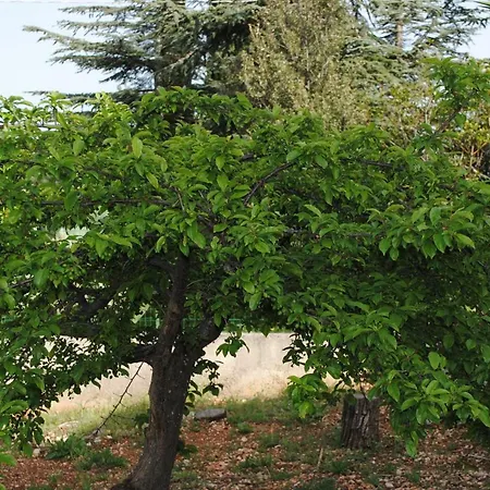 Le Dimore Del Sarto Relax *