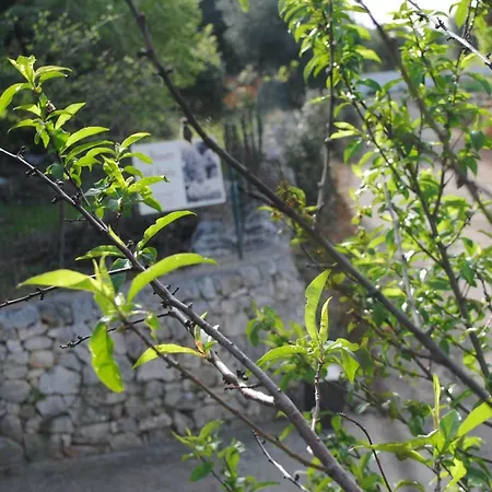 Bed & Breakfast Le Dimore Del Sarto Relax *