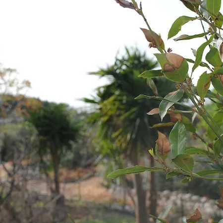 Le Dimore Del Sarto Polignano A Mare Bed & Breakfast 3*