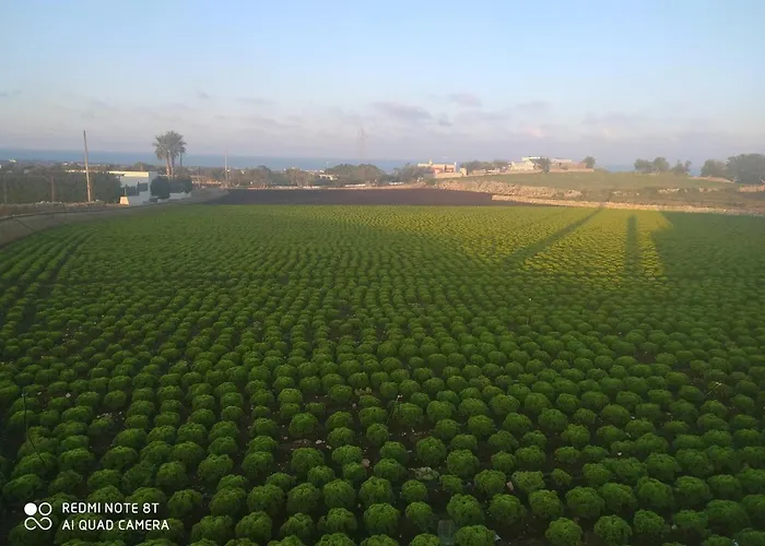 Le Dimore Del Sarto Polignano A Mare Frühstückspension 3*