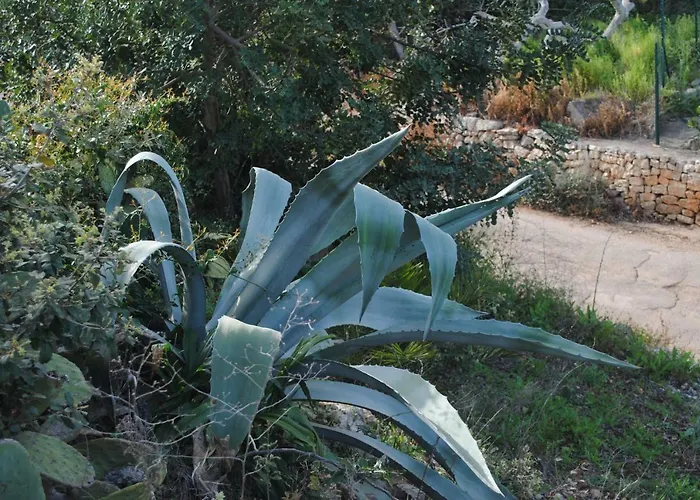 Frühstückspension Le Dimore Del Sarto Polignano A Mare 3*
