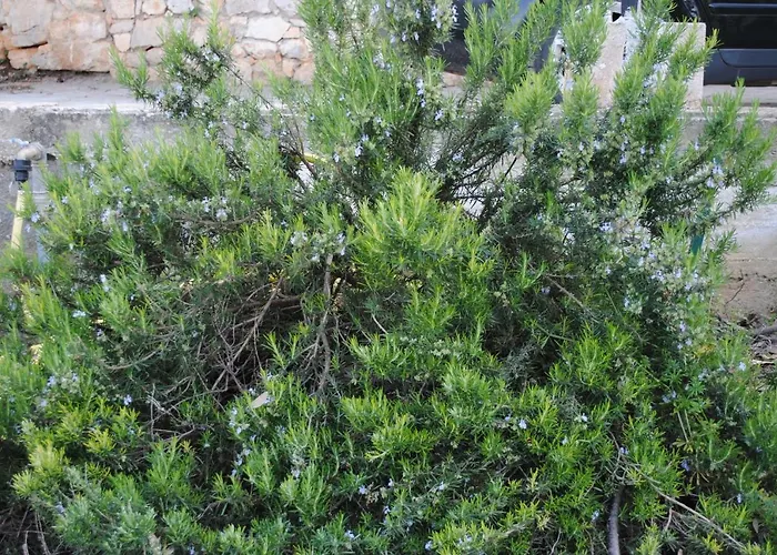 Le Dimore Del Sarto Polignano a Mare