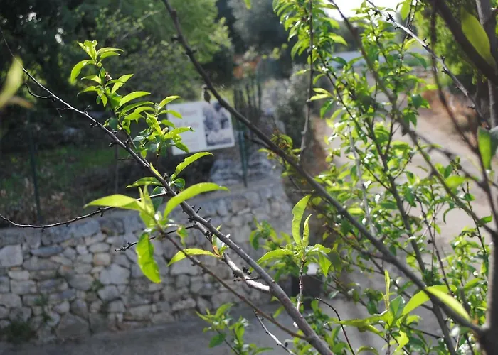 Frühstückspension Le Dimore Del Sarto Polignano A Mare 3*