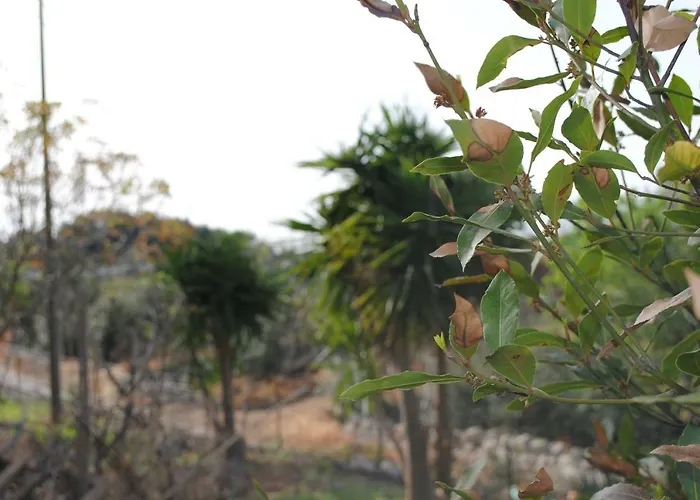 Le Dimore Del Sarto Polignano A Mare Frühstückspension 3*
